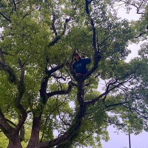 Meet your Posher, Lacey